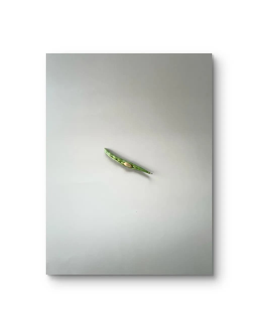 Fragmentierte Entscheidung