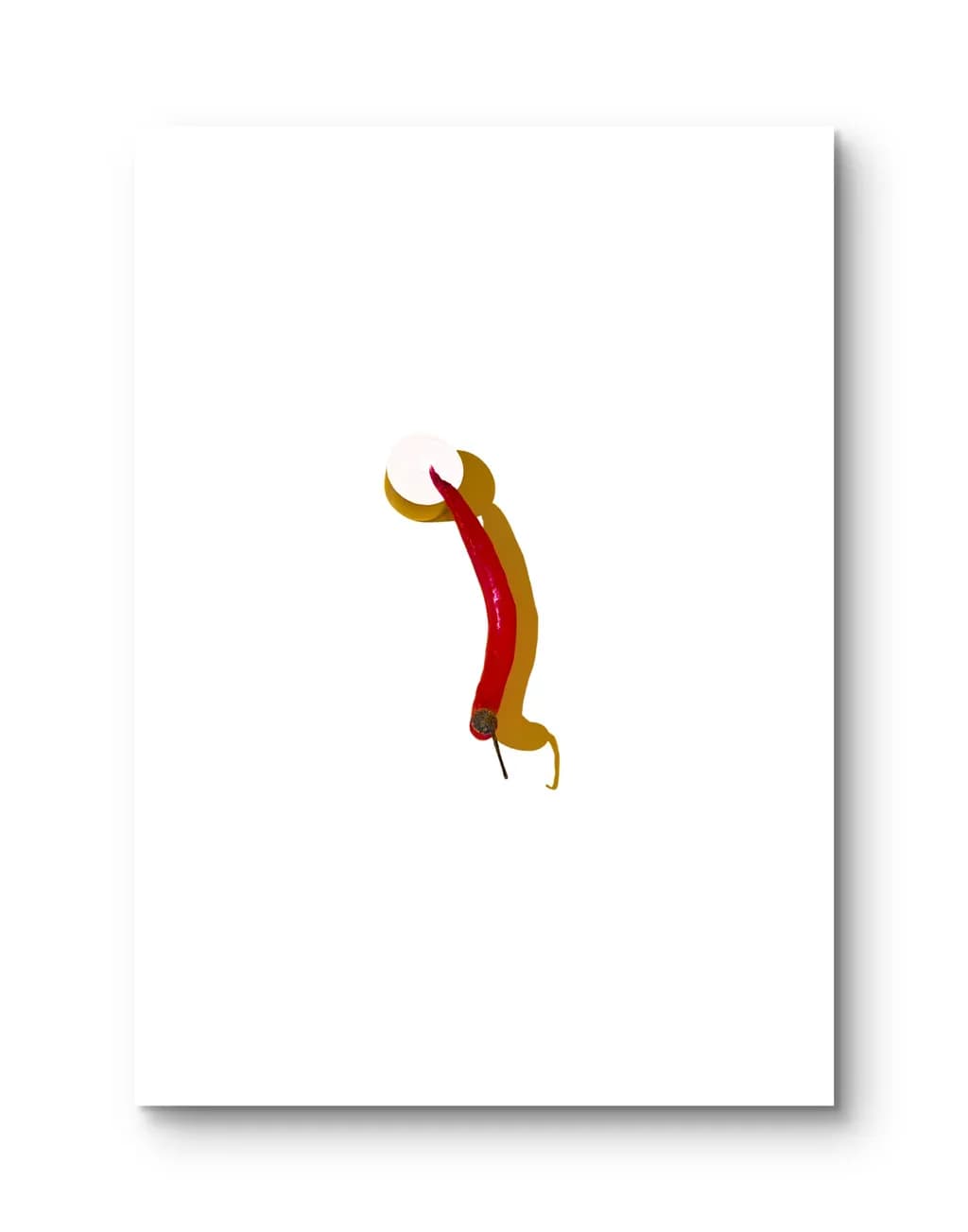 Red Chili Shadow