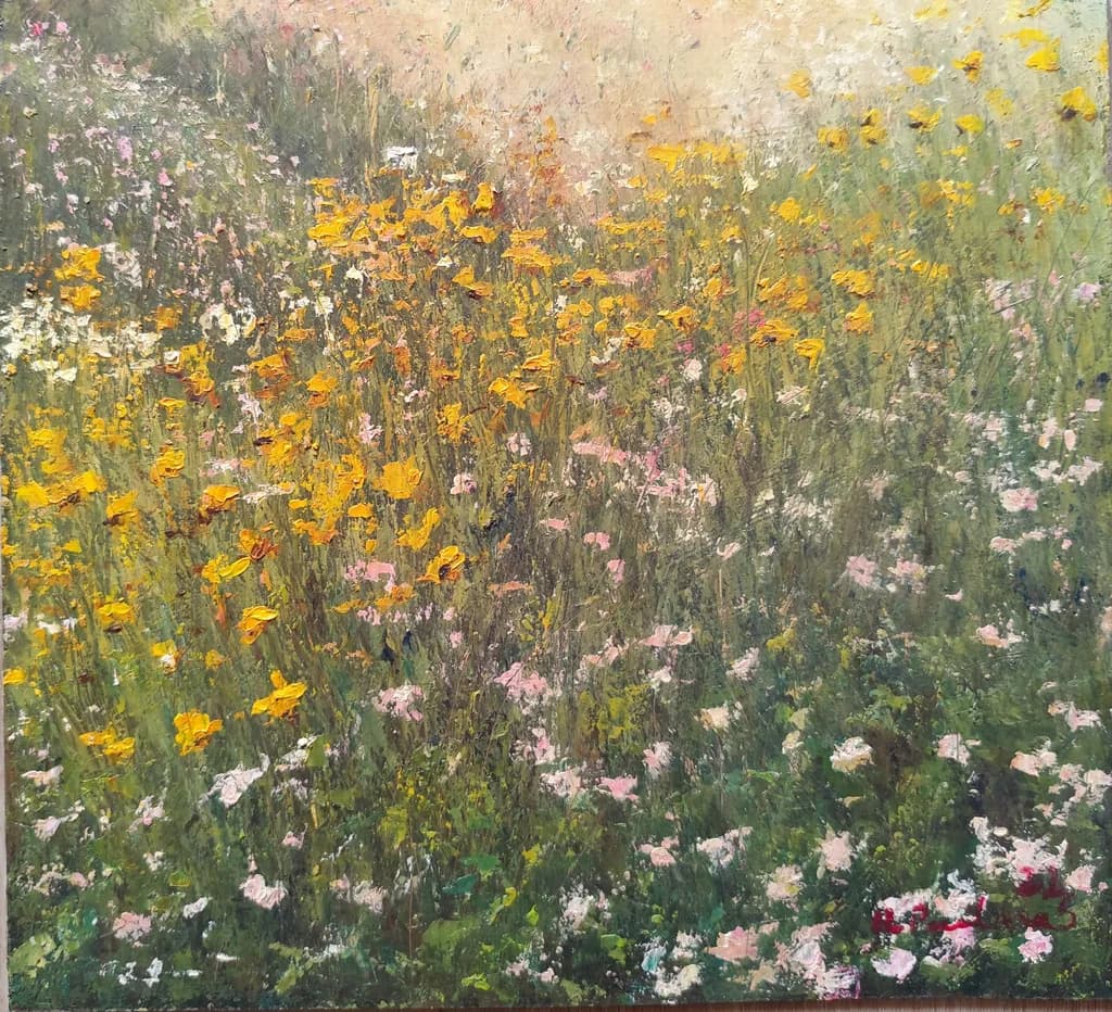 Wildflower Meadow