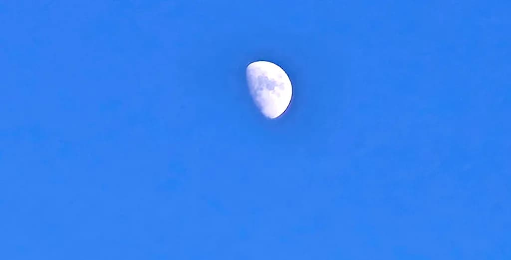 Daylight Moon