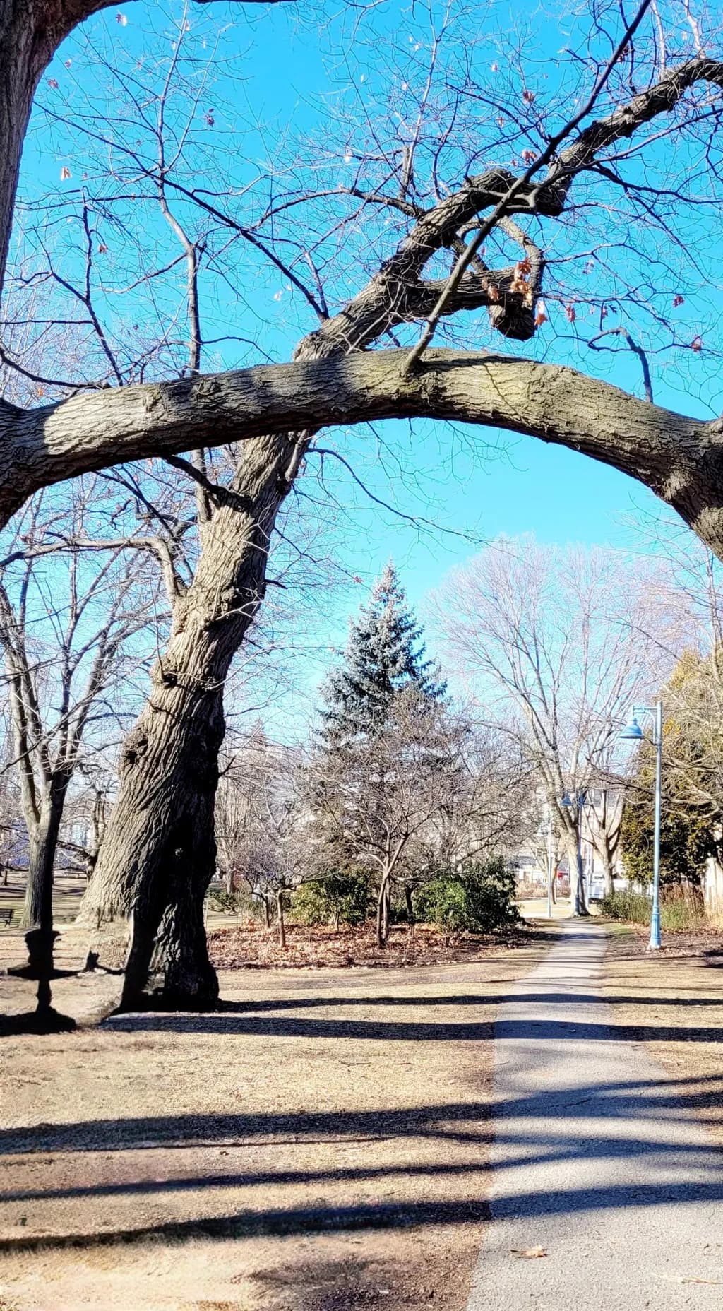 Winter Park Path