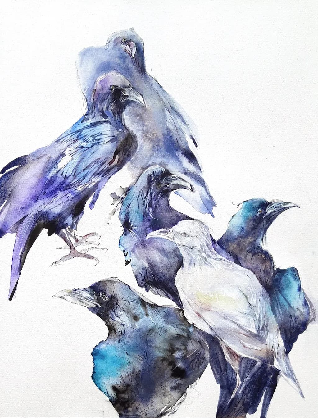 Crowd of Ravens