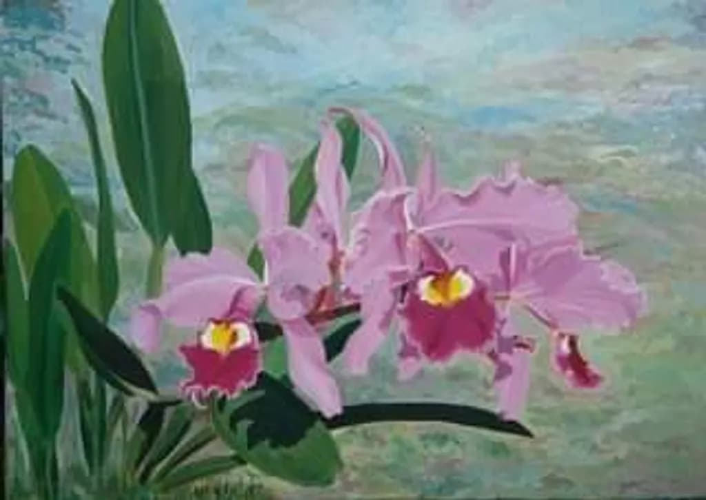 Orchid Bloom