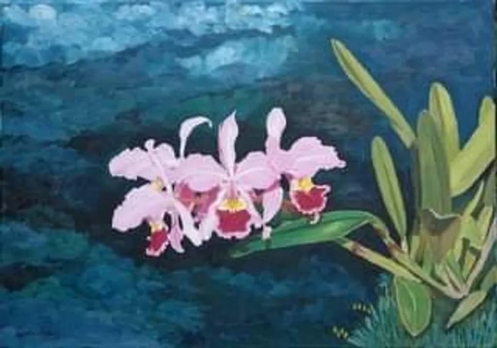 Orchid Blossoms