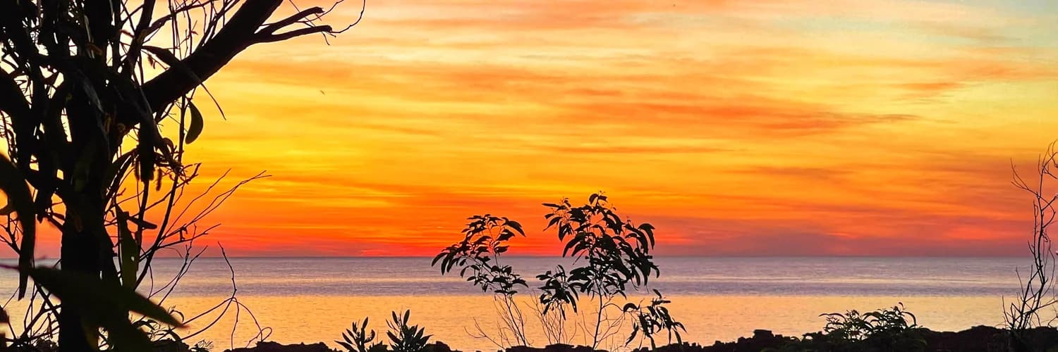 Banner del perfil