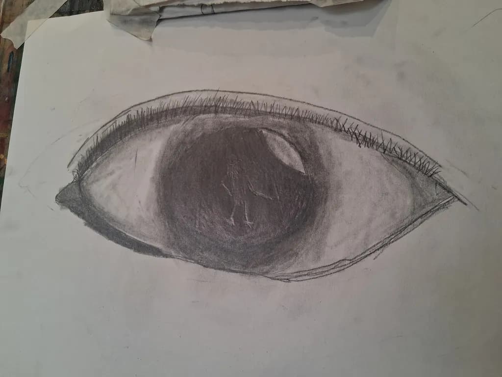 Gaze in Graphite