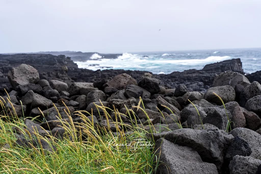 Brimketill Pool Coast
