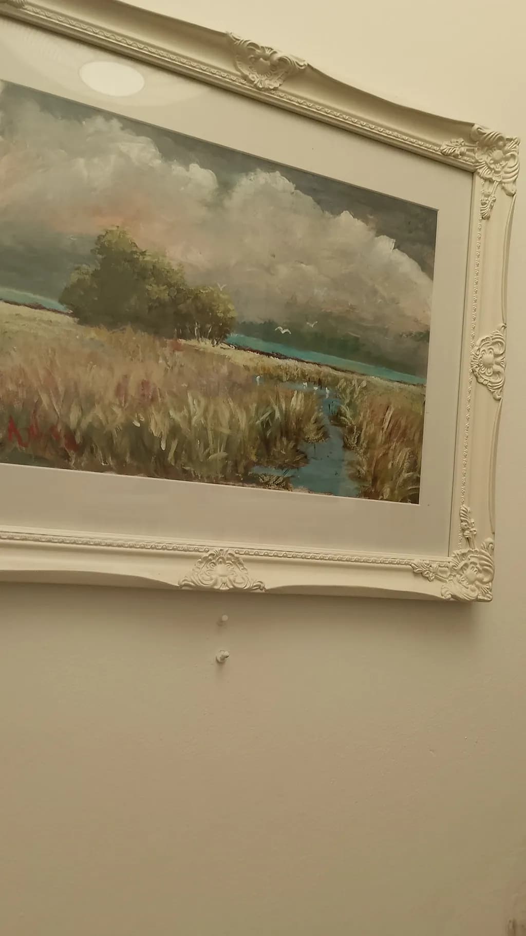 Clouds Over Meadow