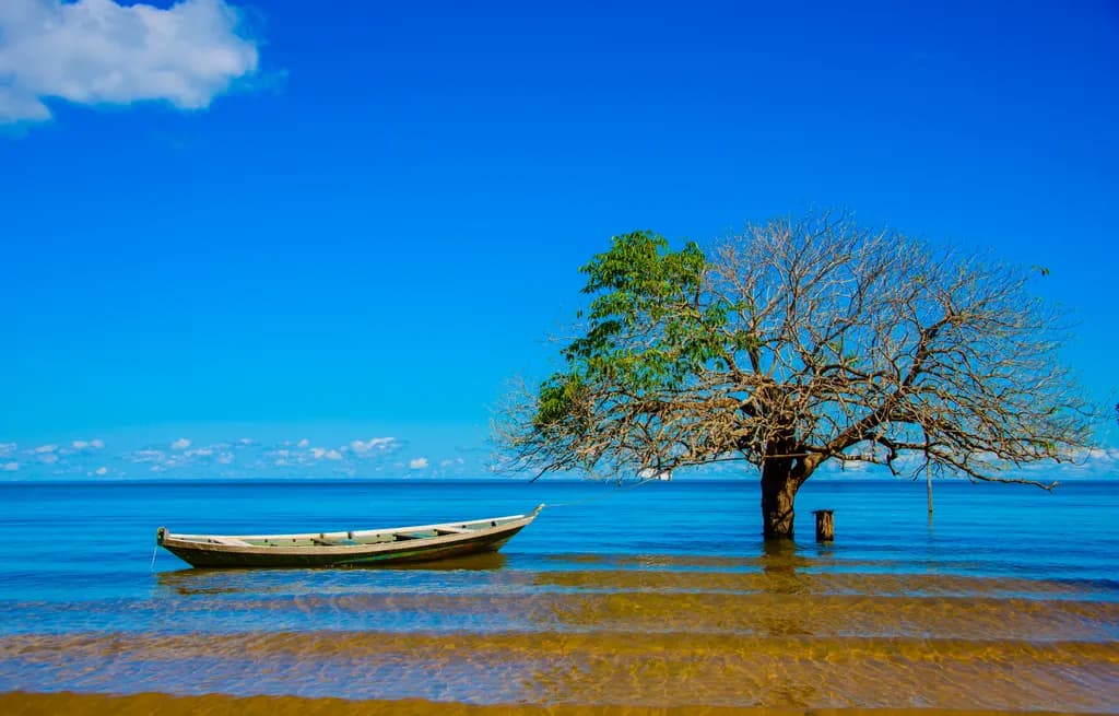 Coastal Serenity