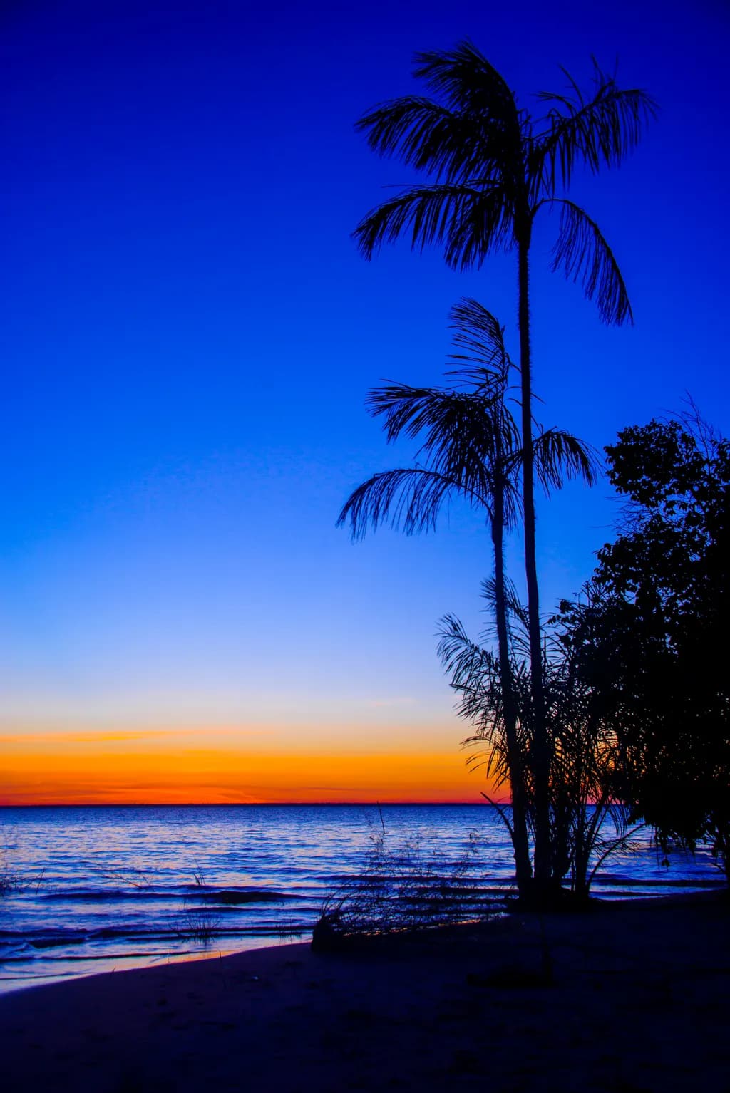 Twilight Serenity