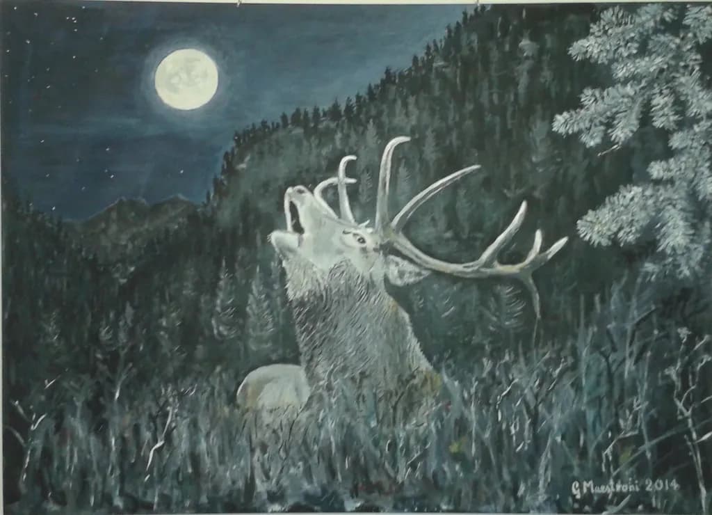 Moonlit Call