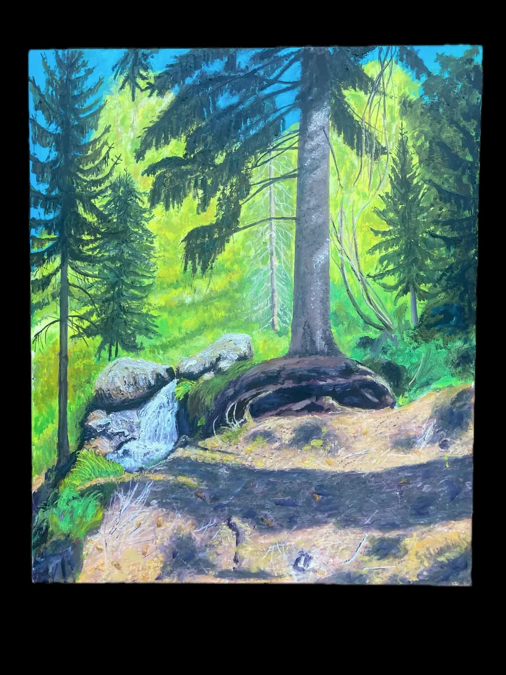 Forest Stream Shadows