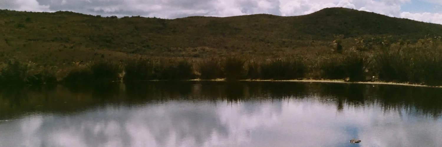 Banner del perfil