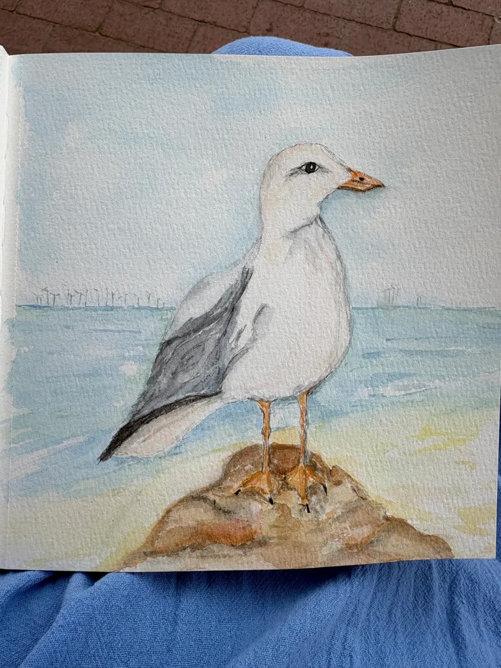 Seagull on Rock