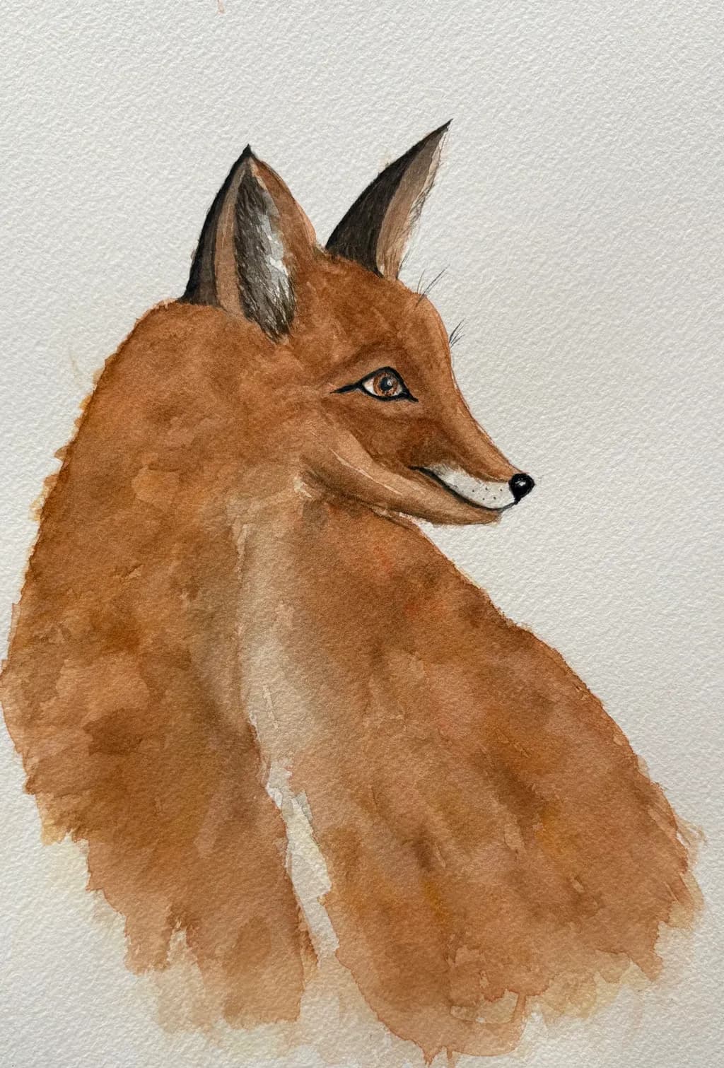 Fox Gaze