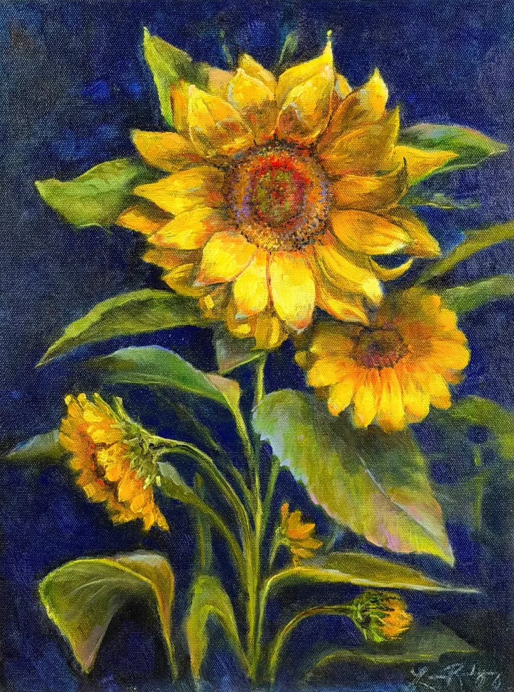 Sunlit Blooms