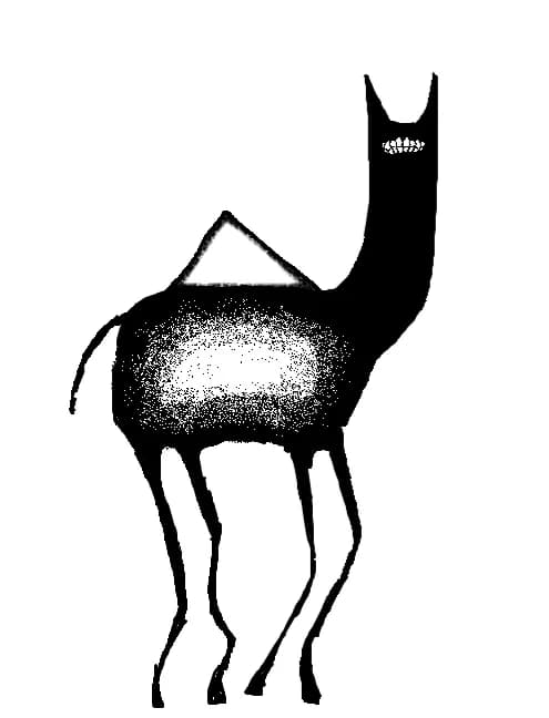 Abstract Camel