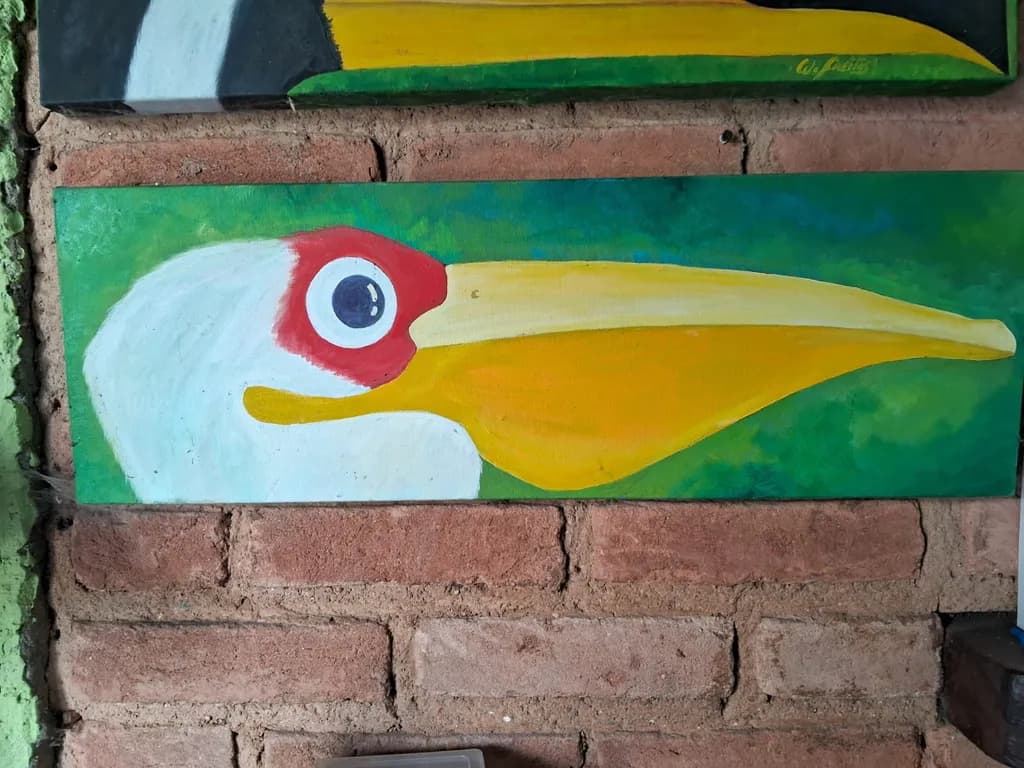 Pelicano Profile