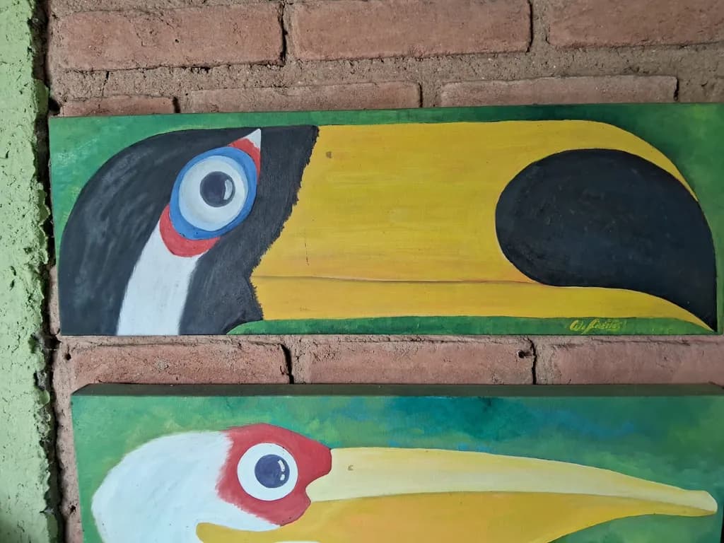 Tucano Beak Portrait