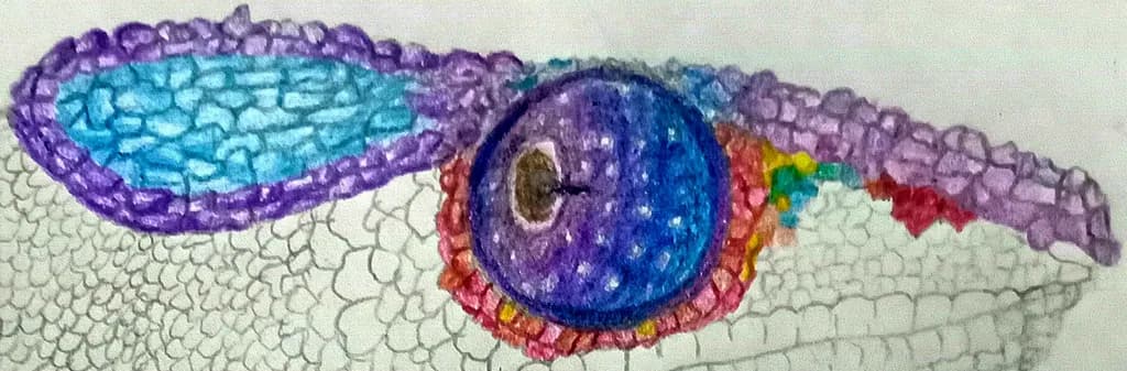Reptile Eye Texture