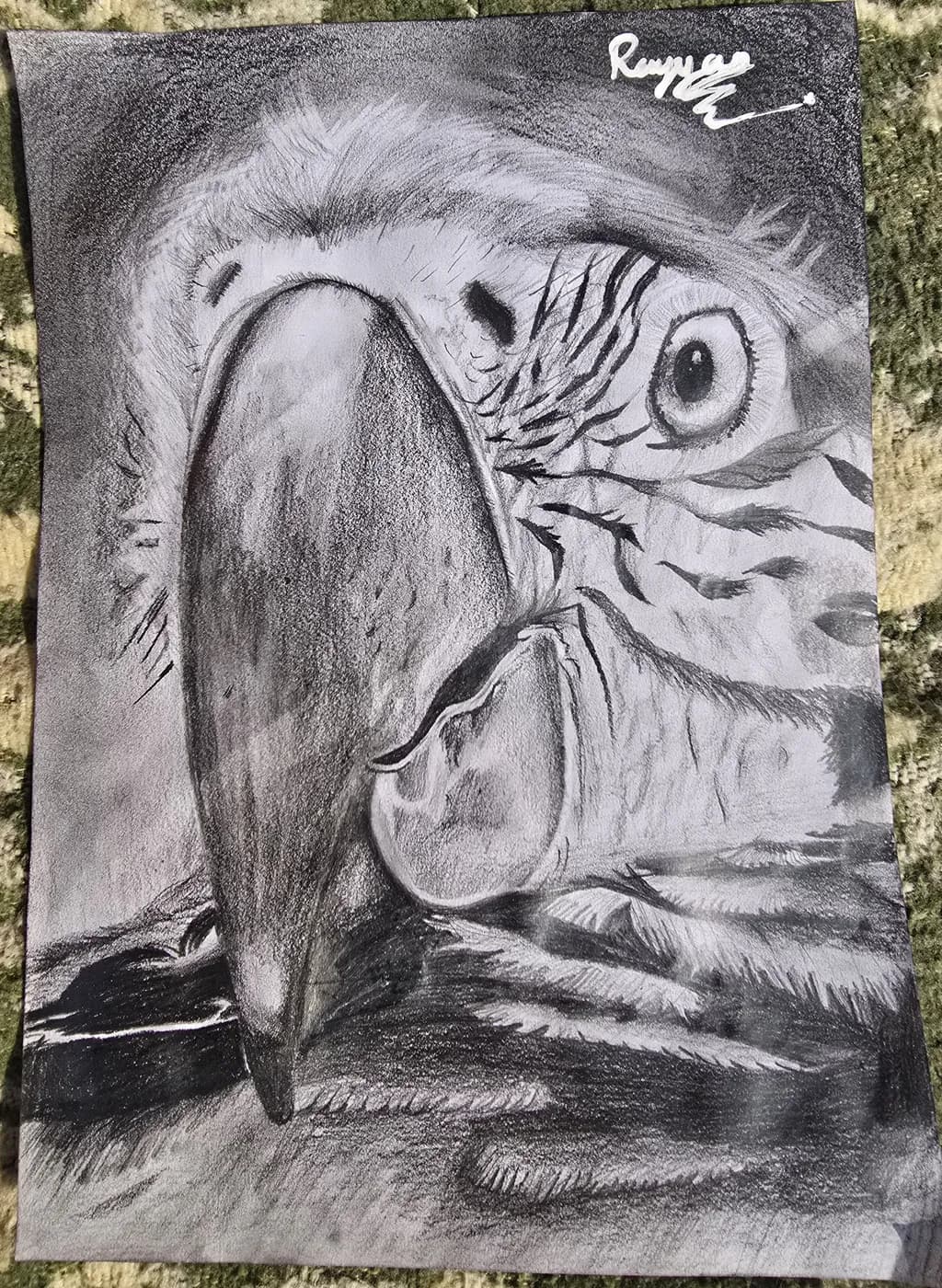 Monochrome Bird Study