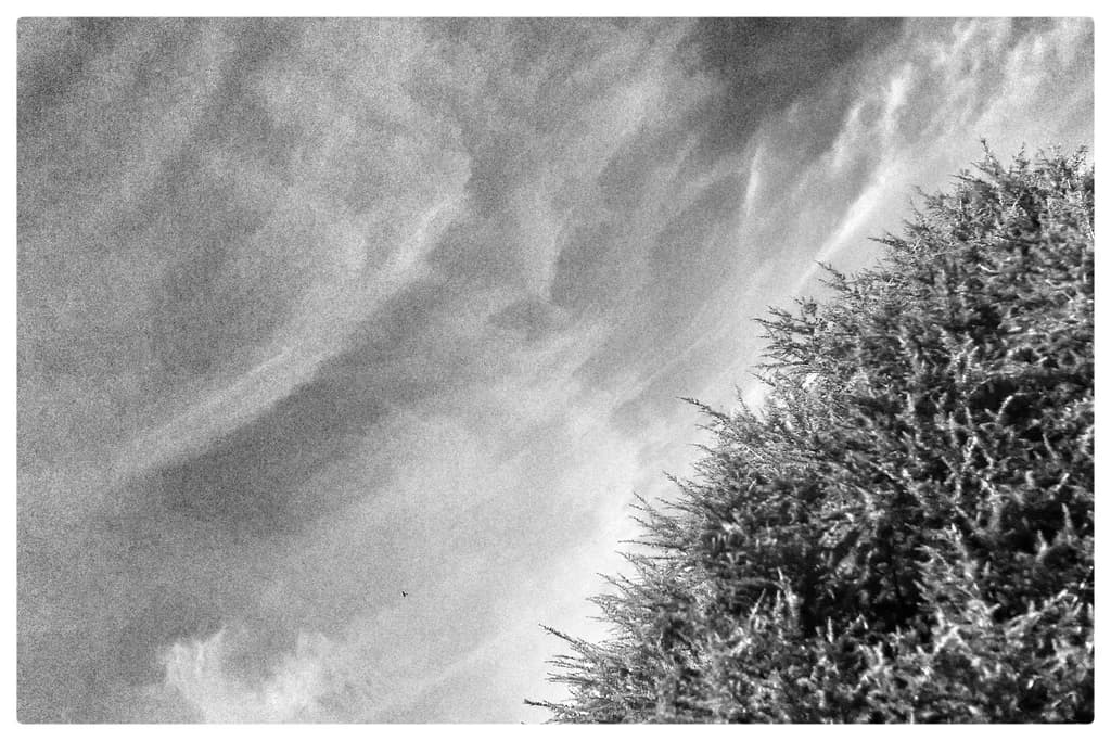 Clouded Horizon