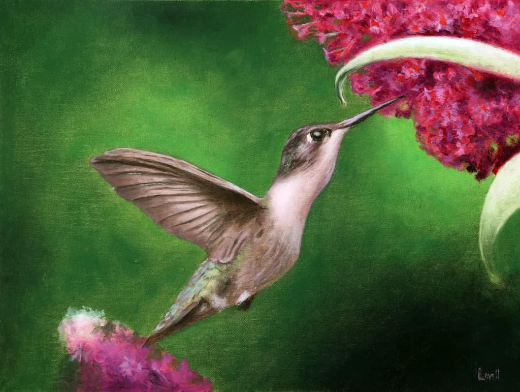 Hummingbird Harmony