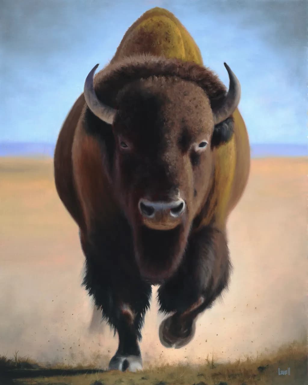 Charge of the American Bison