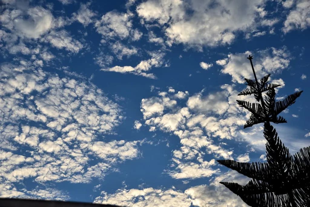Cloudscape Silhouette