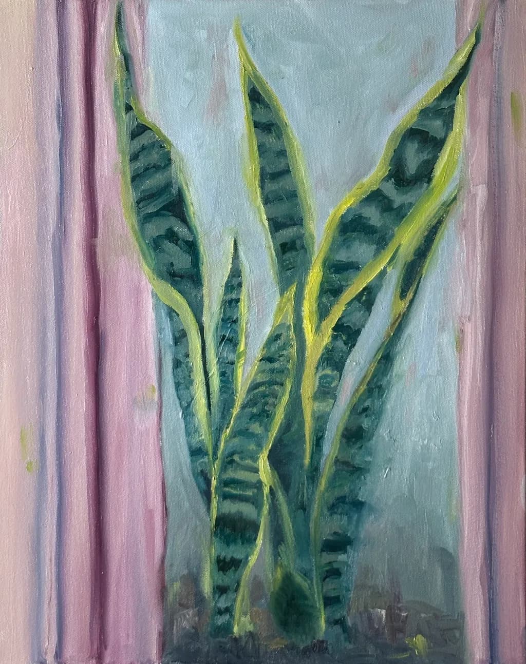 Luminous Snake Plant