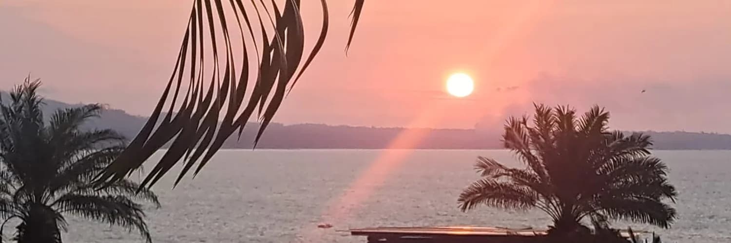 Banner del perfil