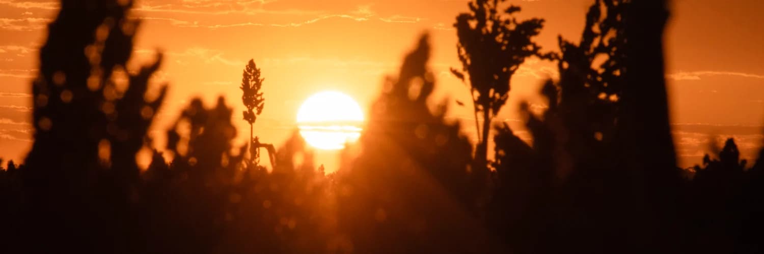 Profilbanner