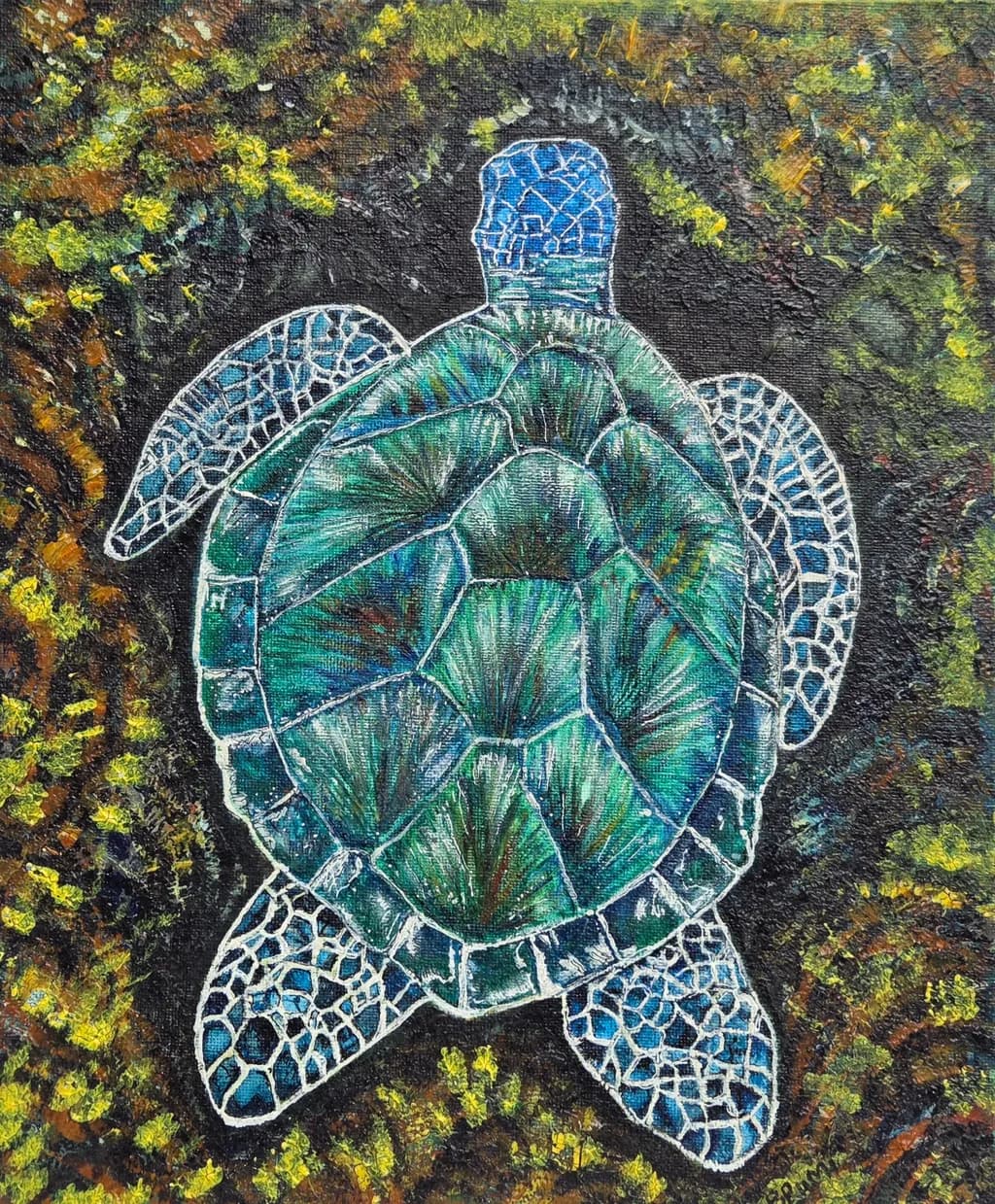 Swamped, The Hard House I carried, Mosaic Turtle