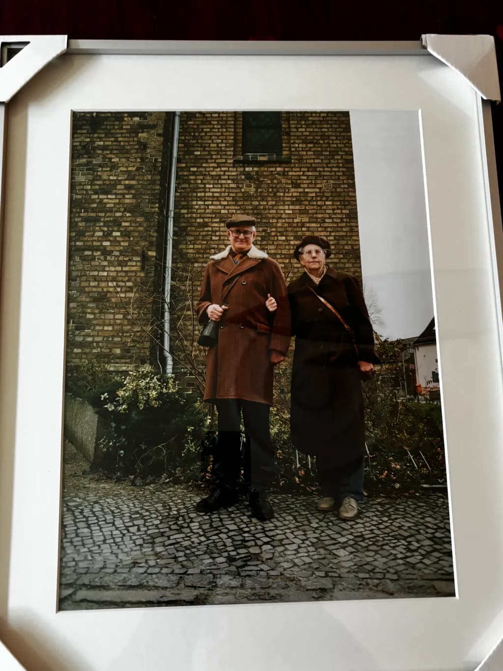 Timeless Companions