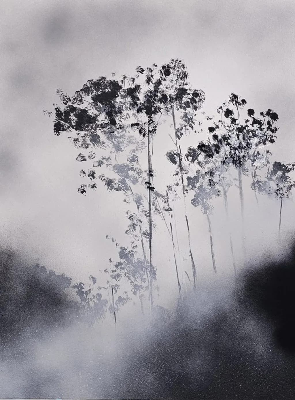 Misty Silhouettes