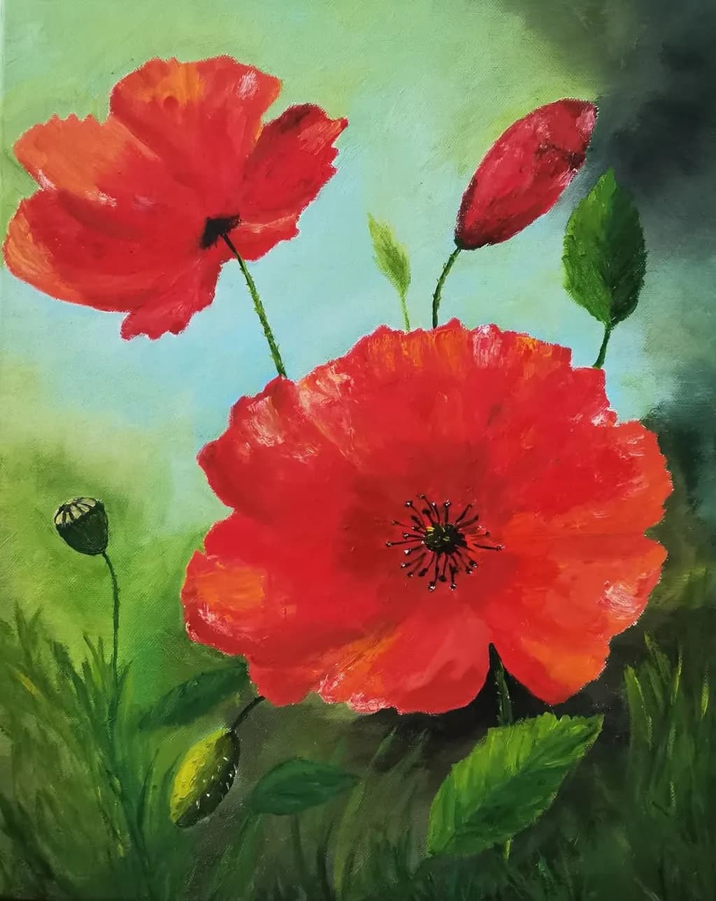 Poppies