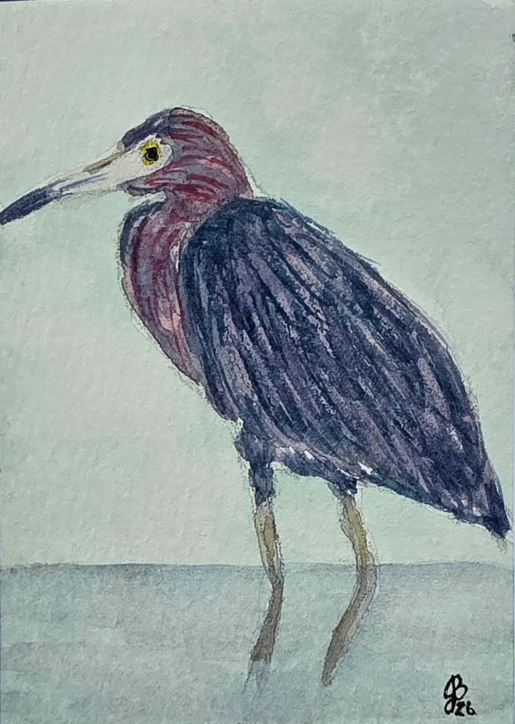 Marsh Sentinel