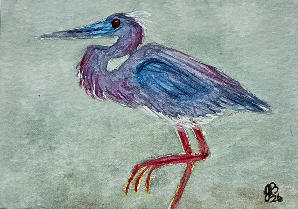 Crimson Stilt Heron