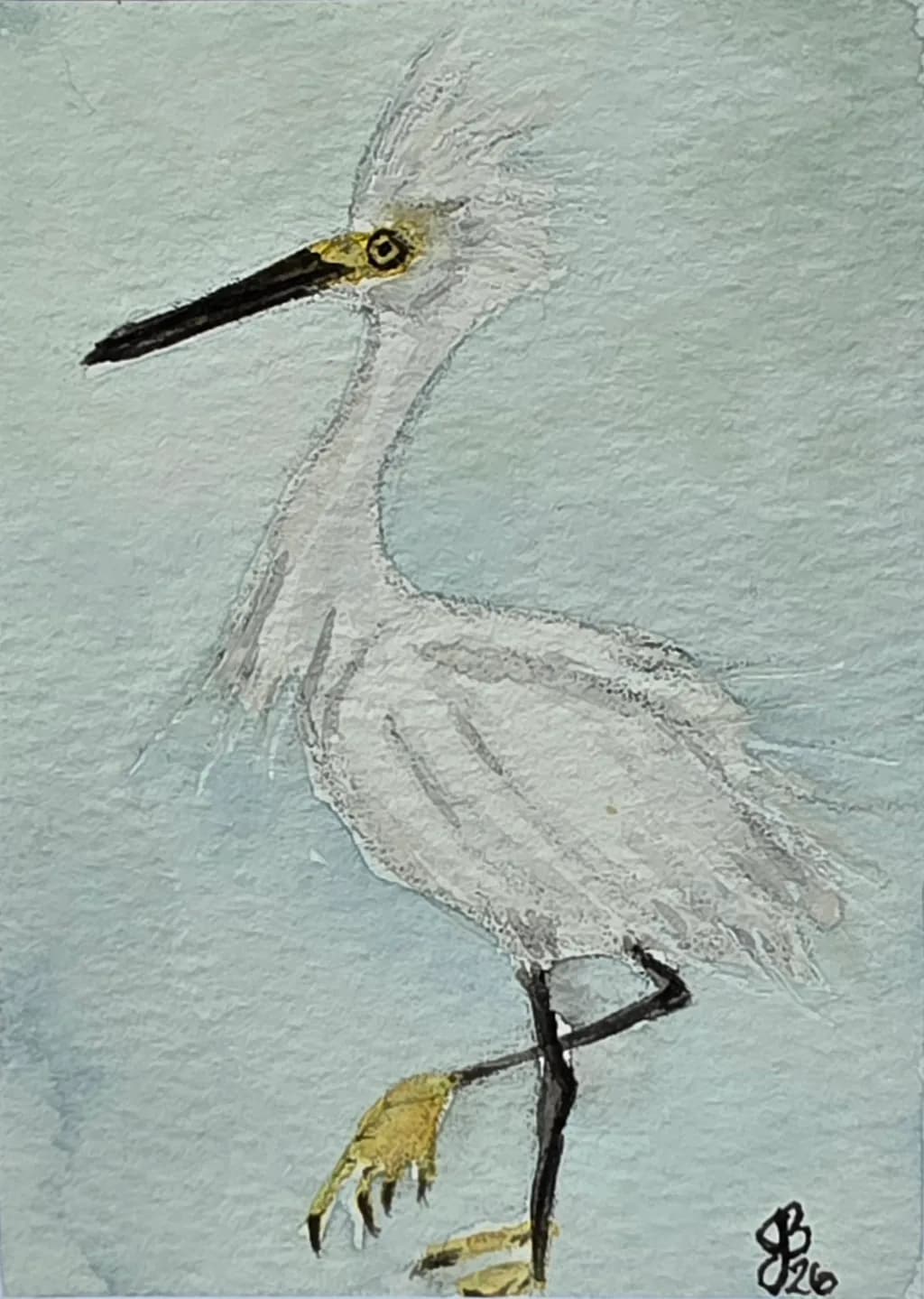 Poised Egret