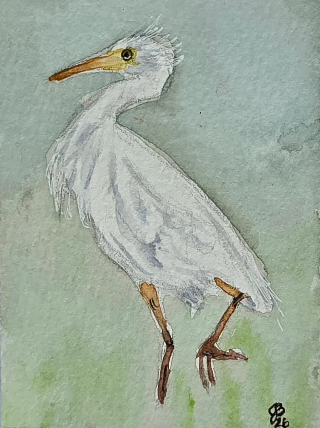 Graceful Egret