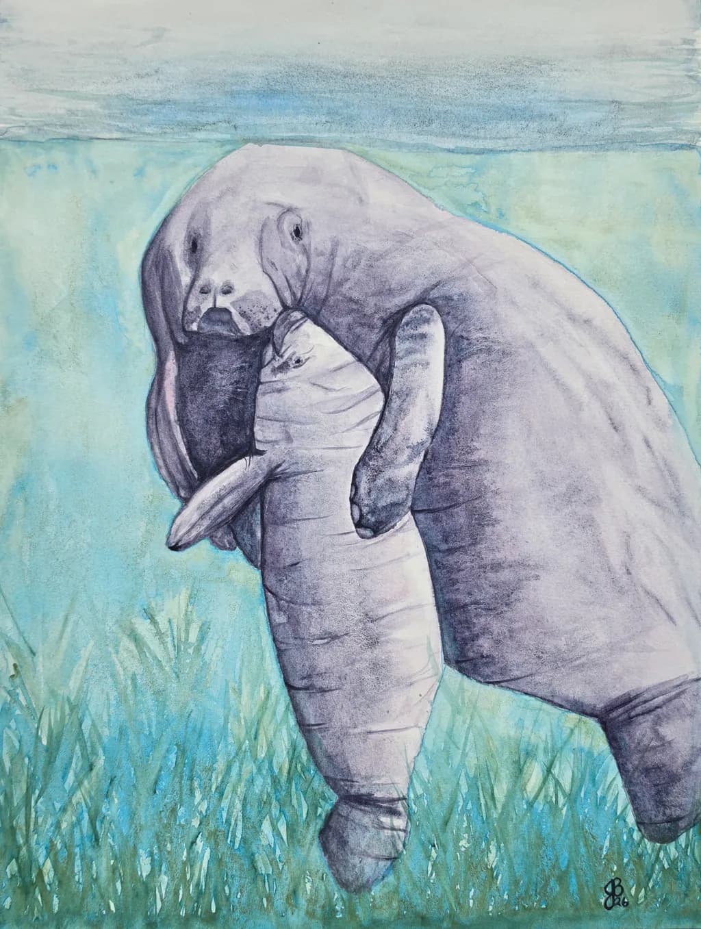 Manatee Lullaby