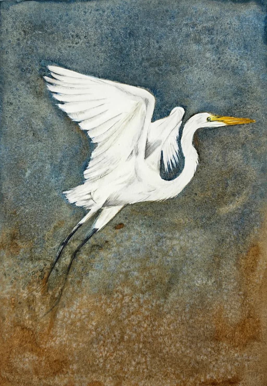 Soaring Egret