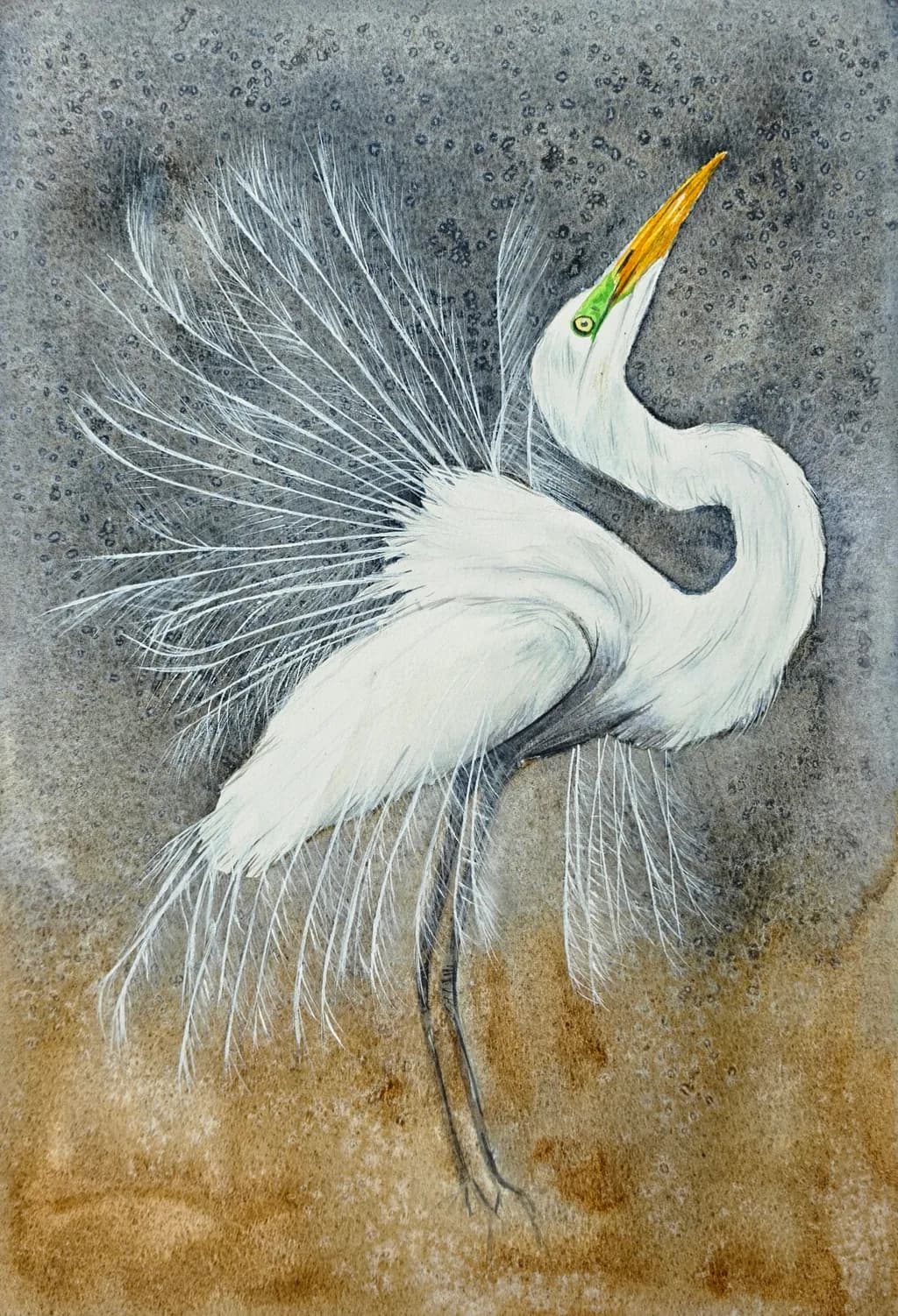 Elegant Egret