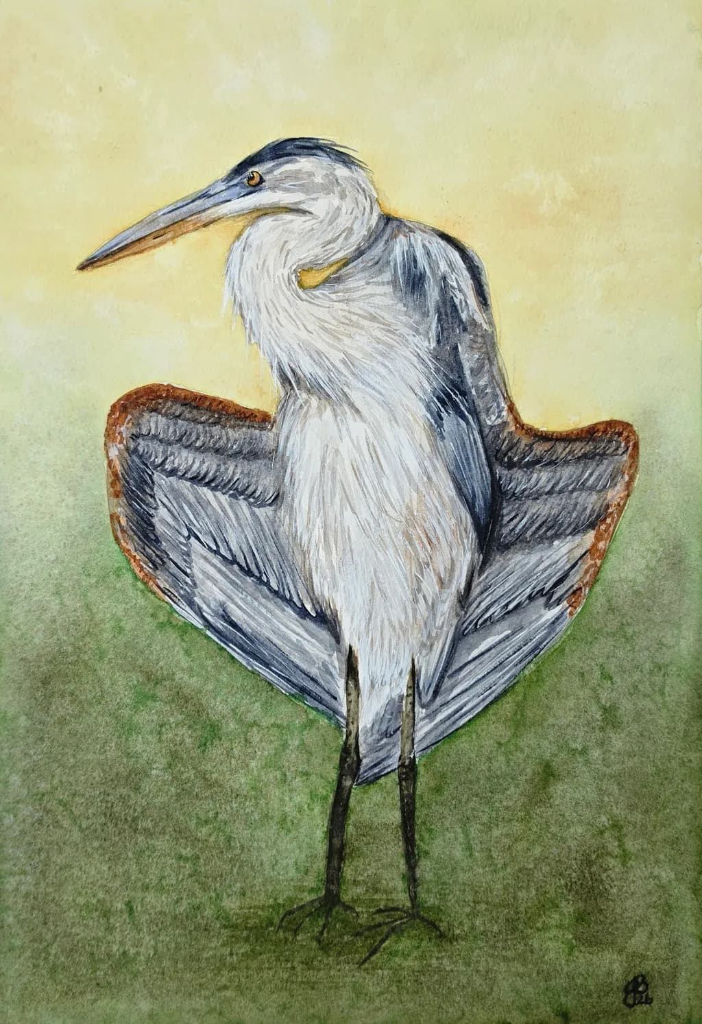 Heron’s Grace