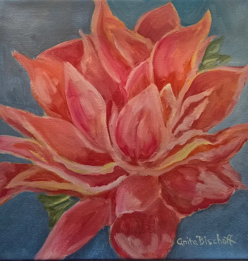 Coral Flower Bloom
