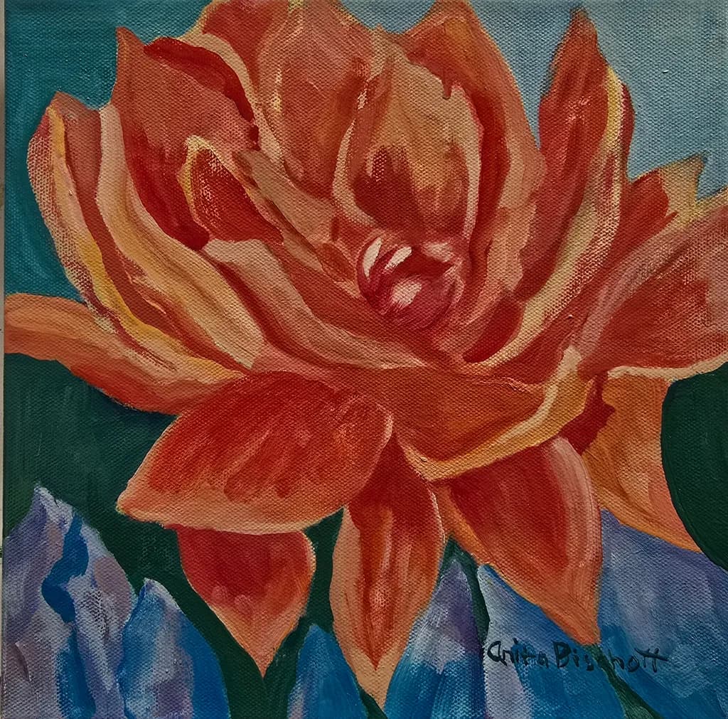 Orange Flower Bloom