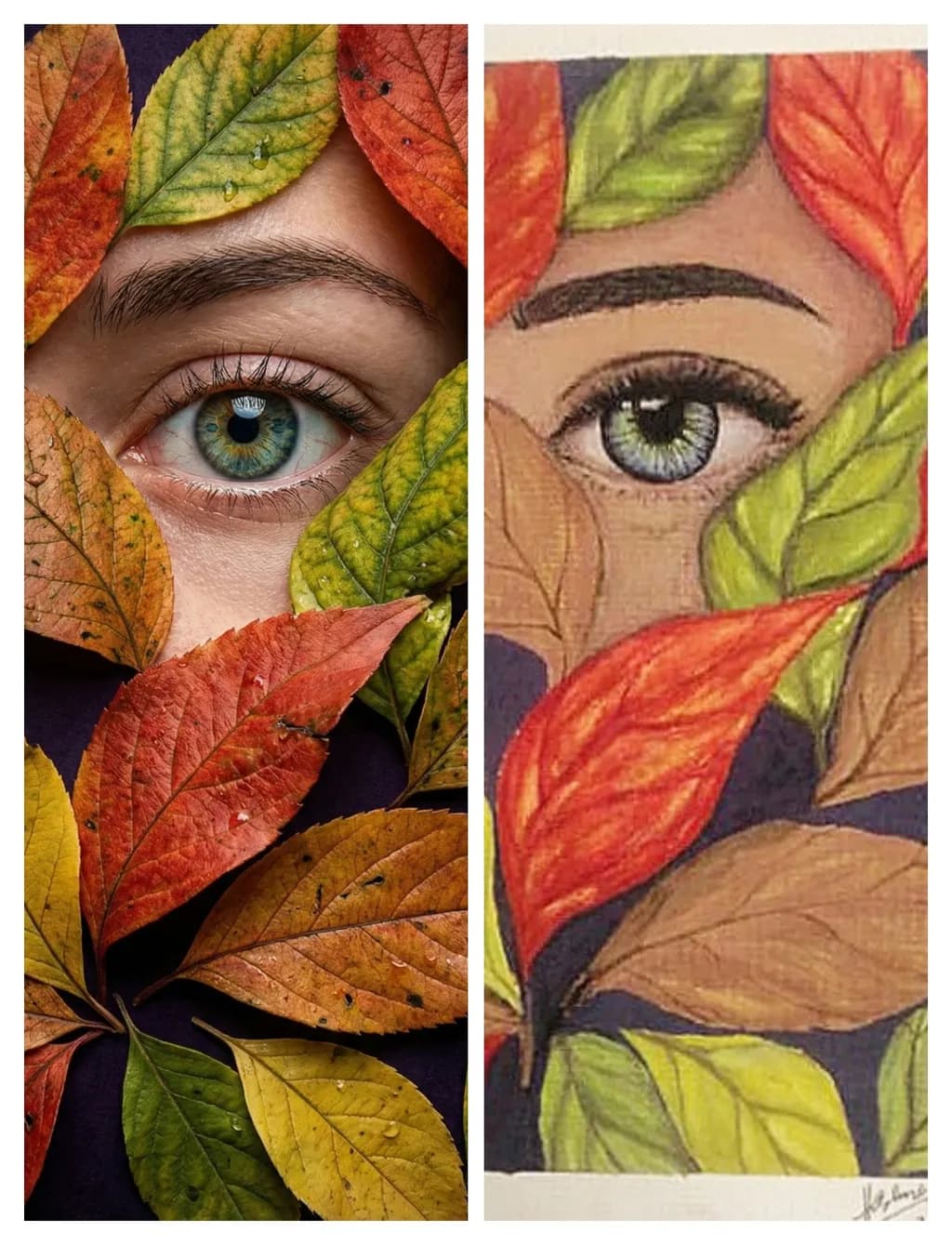 Leafy Gaze
