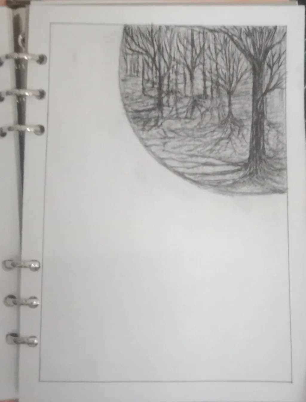 Winter Woods Reflection