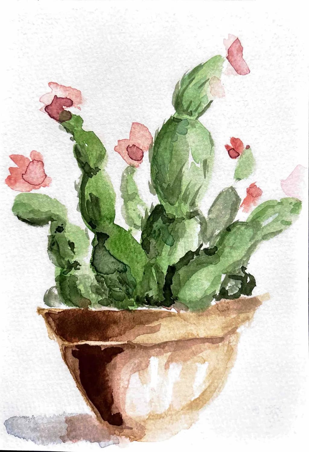 Blooming Cactus Pot