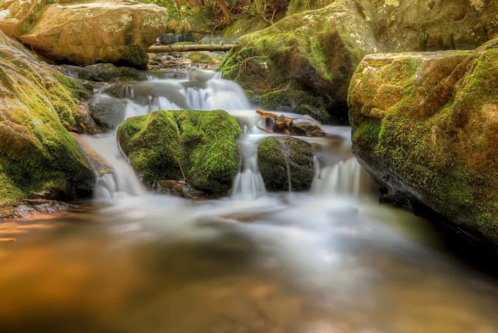 Mossy Stream Serenity